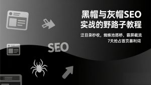 黑帽与灰帽SEO实战的野路子教程:泛目录秒收,蜘蛛池搭桥,霸屏截流,7天抢占首页暴利词-数智网创