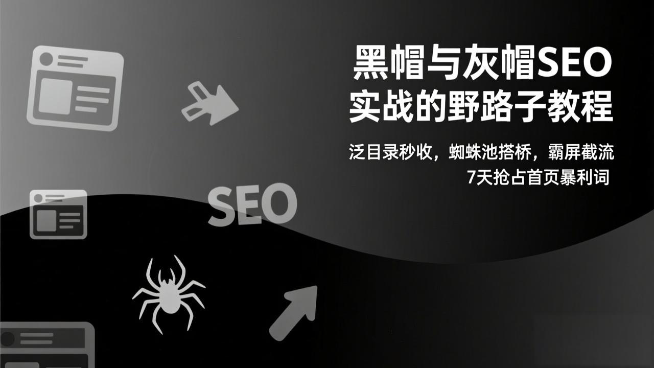 黑帽与灰帽SEO实战的野路子教程:泛目录秒收,蜘蛛池搭桥,霸屏截流,7天抢占首页暴利词-数智网创