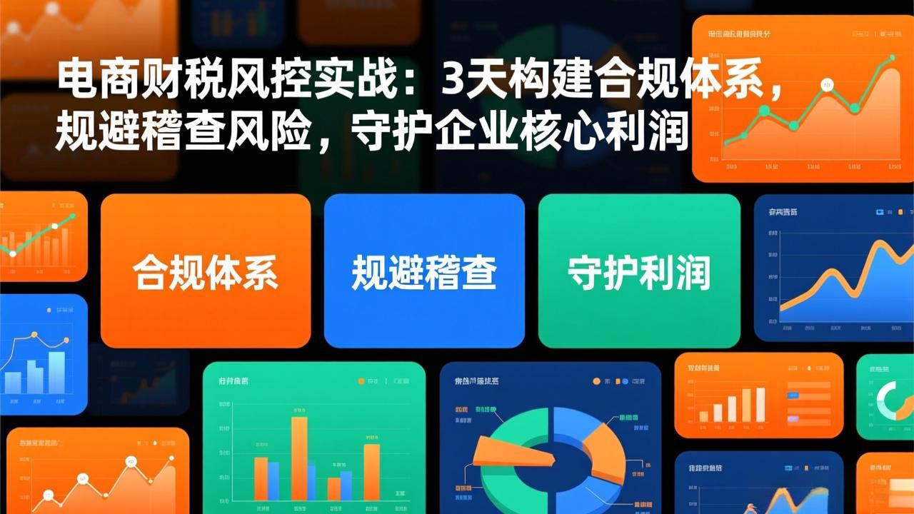 电商财税风控实战：3天构建合规体系，规避稽查风险，守护企业核心利润-数智网创