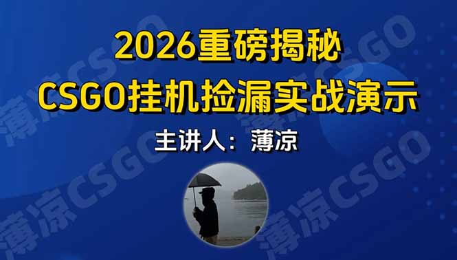CSGO游戏挂机游戏搬砖最新升级，普通小白一部手机可日入300+当天见结果，支持验证-数智网创