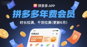 拼多多年费会员，实经验分享操，时长拉满，干货拉满(更新26年1月)-数智网创