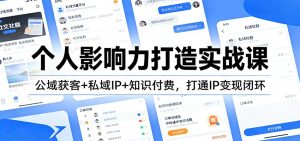 个人影响力打造实战课：公域获客+私域IP+知识付费，打通IP变现闭环-数智网创