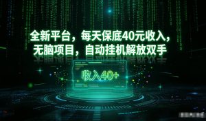 最新看广平台，每天保底30-4米，无脑项目，自动挂G解放双手【揭秘】-数智网创