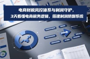 电商财税风控体系与利润守护，3天看懂电商税务逻辑，搭建利润防御系统-数智网创