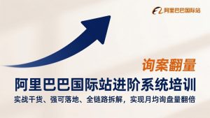 阿里巴巴国际站进阶系统培训，实战干货、强可落地、全链路拆解，实现月均询盘量翻倍-数智网创