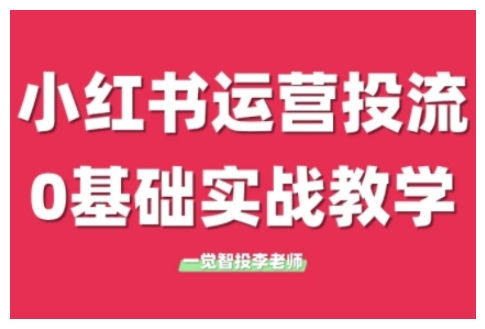 小红书运营投流，小红书广告投放从0到1的实战课，学完即可开始投放(更新26年)-数智网创