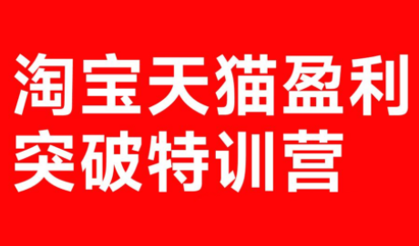 玺承·淘宝天猫盈利突破特训营(25年12月线下课)【音频+字幕】-数智网创