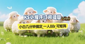 【新一期】小程序订阅_小白几分钟70-80r，可矩阵(已测到账)-数智网创