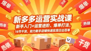 拼多多运营实战课，新手入门+运营进阶、爆单打法，16节干货，助力新手店铺快速实现日出百单-数智网创