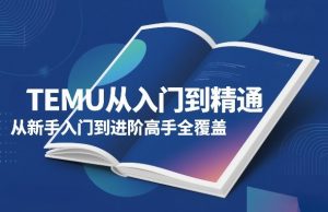 TEMU从入门到精通,从新手入门到进阶高手全覆盖-数智网创