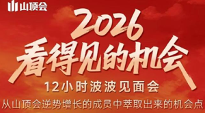 波波·2026看得见的机会12小时波波见面会(东莞线下课2月1日)-数智网创