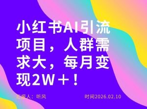 她通过这个AI项目每月做到2W＋的收入，最新小红书AI项目，人群需求大！-数智网创