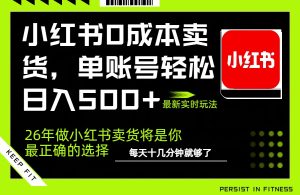 小红书0成本AI卖货，单账号轻松日入500+，完全托管AI，可矩阵放大-数智网创