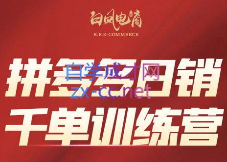 白凤电商·拼多多日销千单训练营(更新2月)-数智网创