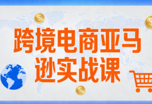 丝丝老师·跨境电商亚马逊实战课(更新2月)-数智网创