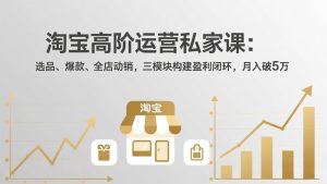 淘宝高阶运营私家课：选品、爆款、全店动销，三模块构建盈利闭环，月入破5万(更新26年2月-数智网创