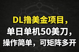 DL撸美金项目，单日单机50美刀，操作简单，可矩阵多开-数智网创