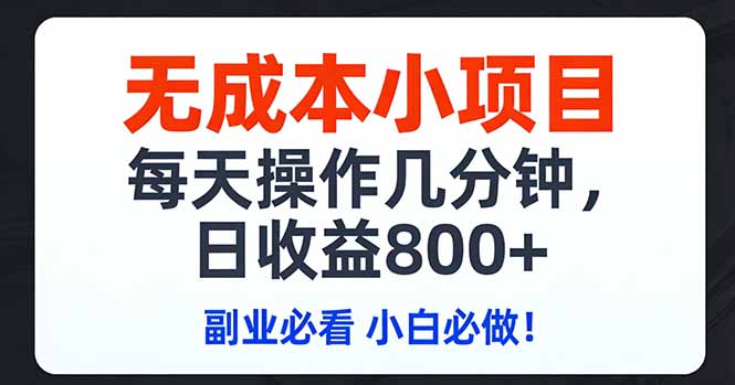 无成本小项目,每天操作几分钟,日收益800+ 副业必看 小白必做！-数智网创