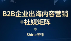 shirle老师·B2B企业出海内容营销+社媒矩阵-数智网创