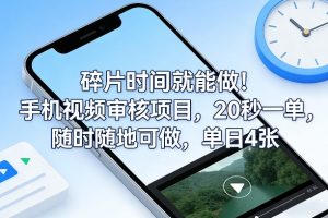 碎片时间就能做！手机视频审核项目，20秒一单，随时随地可做，单日4张+【揭秘】-数智网创