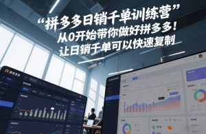 拼多多日销千单训练营，从0开始带你做好拼多多，让日销千单可以快速复制(更新26年2月)-数智网创