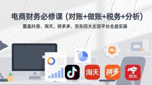 电商财务必修课(对账+做账+税务+分析-数智网创