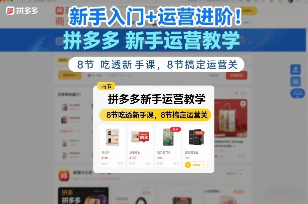 新手入门+运营进阶！拼多多新手运营教学，8节吃透新手课，8节搞定运营关-数智网创