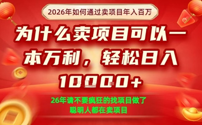 一单净利润1K+，26年想年入100个W，死磕卖项目就够了【揭秘】-数智网创