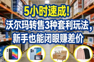 5小时速成！沃尔玛转售3种套利玩法，新手也能闭眼賺差价-数智网创