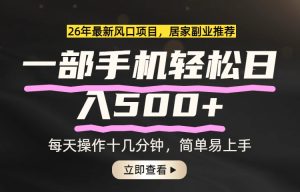 26年居家副业首选，一部手机轻松日入500+，长期稳定可做-数智网创