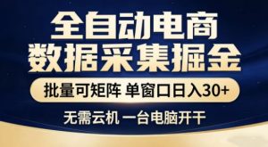 独家电商数据全自动采集项目，批量可矩阵，单窗口轻松日入3张+【揭秘】-数智网创