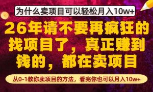 为什么真正賺到钱的都在卖项目，从0-1教你卖项目的方法，看完你也可以月入10w+【揭秘】-数智网创