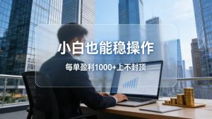 2026新项目，小白也能稳操作，每单盈利1000+上不封顶-数智网创
