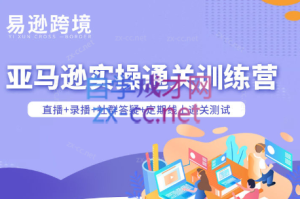 老陈聊跨境·亚马逊实操通关训练营(更新3月)-数智网创