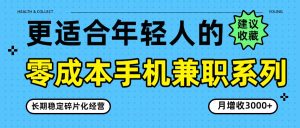 零成本手机兼职系列，长期稳定碎片化经营，月增收3000+-数智网创