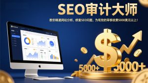 SEO审计大师：教你精通网站分析，修复SEO问题，为有效的审核收费5000美元以上！-数智网创