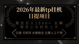 2026年最新tp挂机日提项目：稳定日入1000+小白轻松上手-数智网创