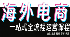 Demo老师·东南亚5国TikTok Shop运营课-数智网创