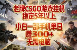 老牌CSGO游戏挂G，稳定5年以上，小白一部手机单日賺3张+，无需电脑【揭秘】-数智网创