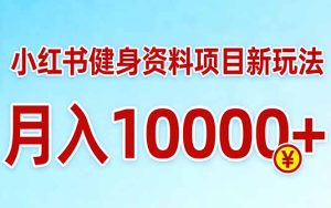 小红书健身资料项目最新玩法，月入10000＋，收益潜力可以无限放大-数智网创