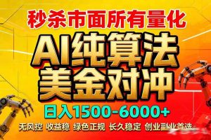 2026全网首发黑马项目，AI美金算法对冲，日入2000-6000+，稳定长效0风险，彻底告别996死工资-数智网创