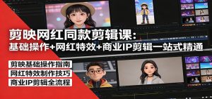 剪映网红同款剪辑：基础操作+网红特效+商业IP剪辑一站式精通-数智网创