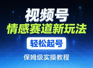 视频号情感赛道新玩法，轻松起号，保姆级实操教程-数智网创