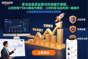 亚马逊卖家运营与利润提升课程，让你的每个SKU都成为爆款，让你的亚马逊利润一路飙升(更新26年3月)-数智网创