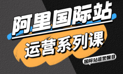 醒目老师·阿里国际站运营系列课(更新3月)-数智网创