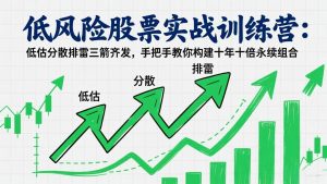 低风险股票实战训练营：低估分散排雷三箭齐发，手把手教你构建十年十倍永续组合-数智网创