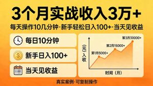 3个月实战收入3万+，每天操作10几分钟，新手轻松日入100+，当天见收益-数智网创