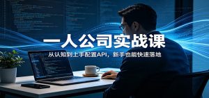 一人公司实战课:从认知到上手配置API,新手也能快速落地-数智网创