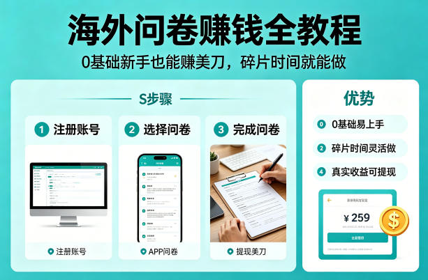 海外问卷賺钱全教程，0基础新手也能賺美刀，碎片时间就能做-数智网创
