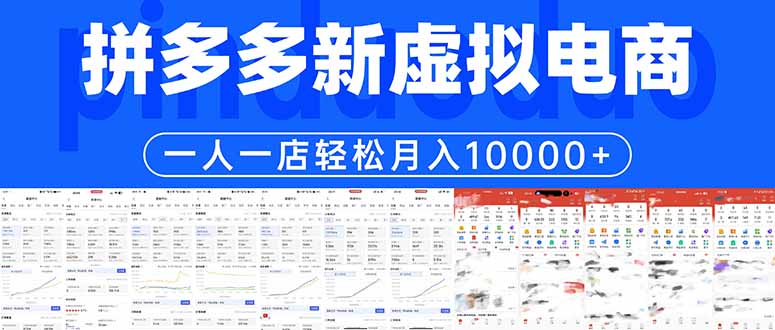 拼多多虚拟电商一人一店轻松月入10000+-数智网创